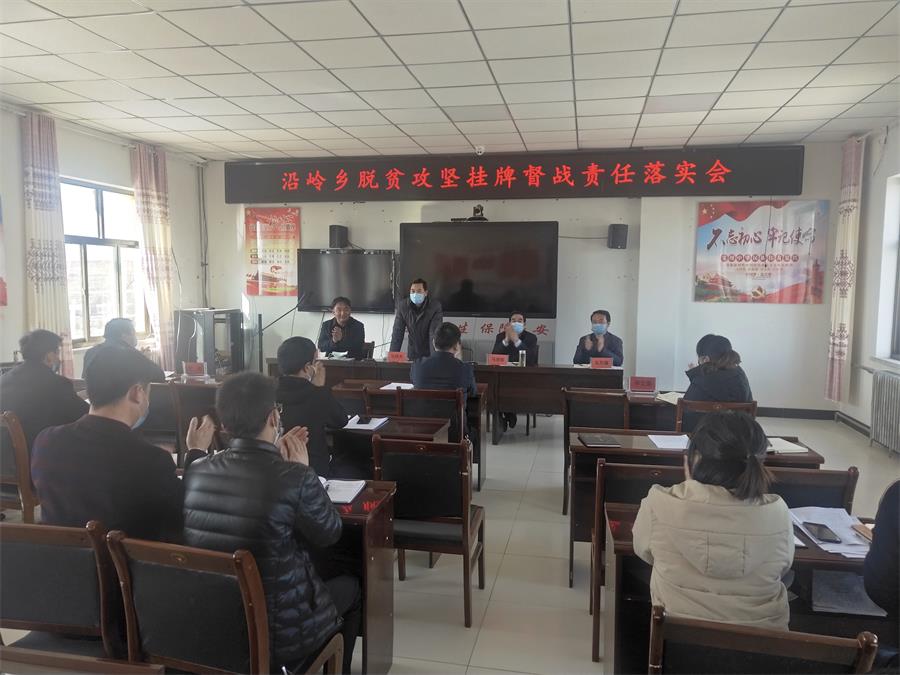 2.25沿岭乡督战责任落实会.jpg