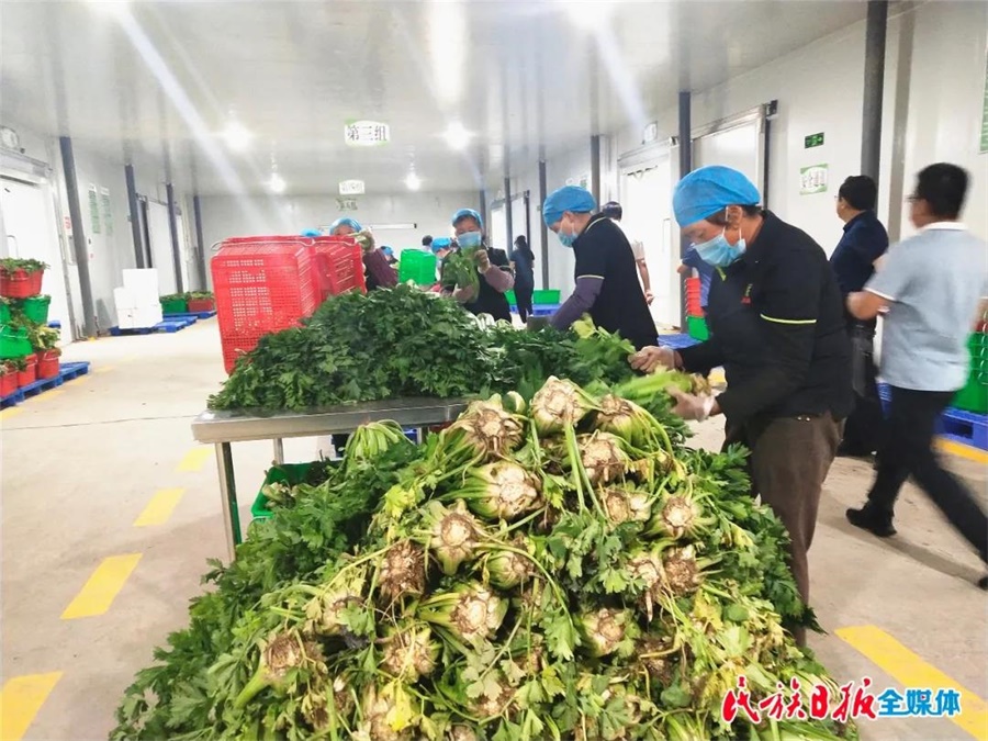 微信图片_20200901111219.jpg